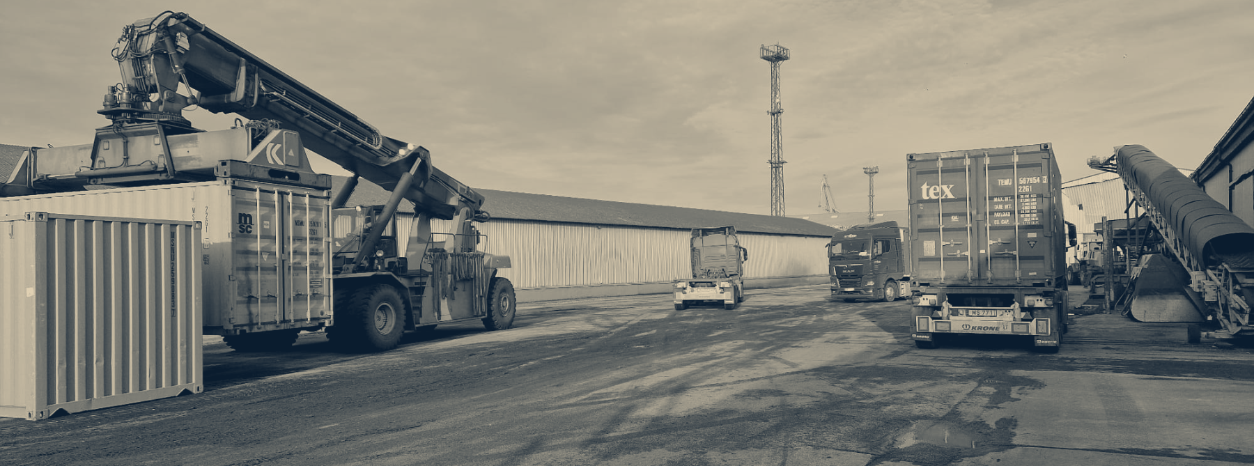 GlobeShift Dynamics container handling and truck loading at port yard